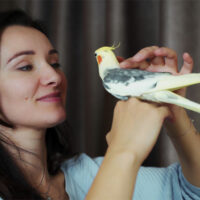 8 birds that make for fabulous pets