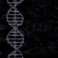 Popular genealogy sites to find ancestry records