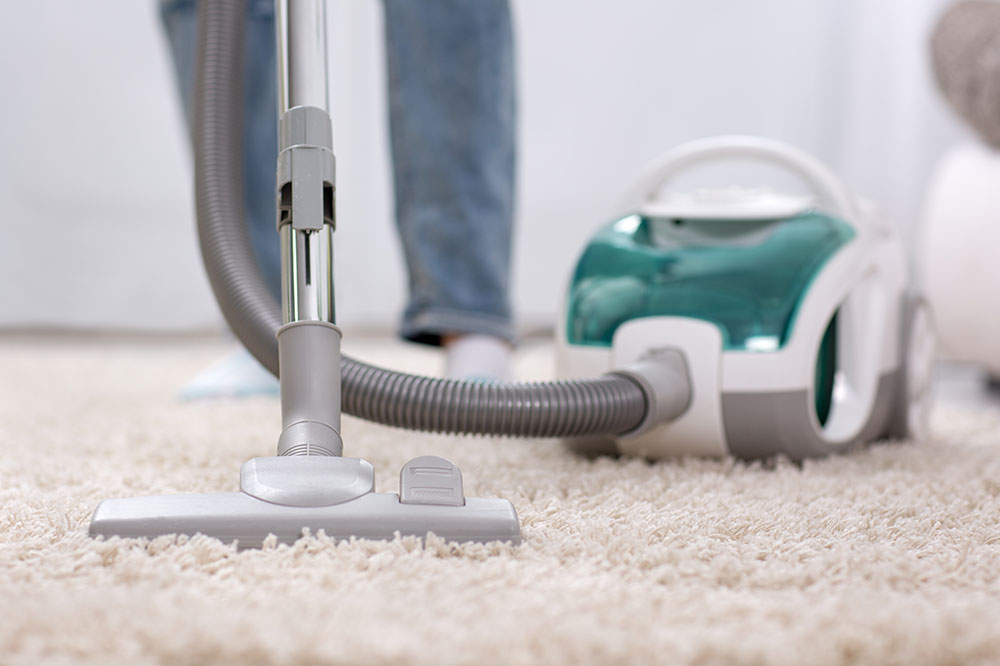 Top 6 vacuums to choose from